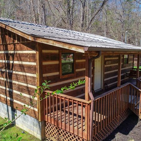 Creekside Memories Cabin Cosby Екстериор снимка